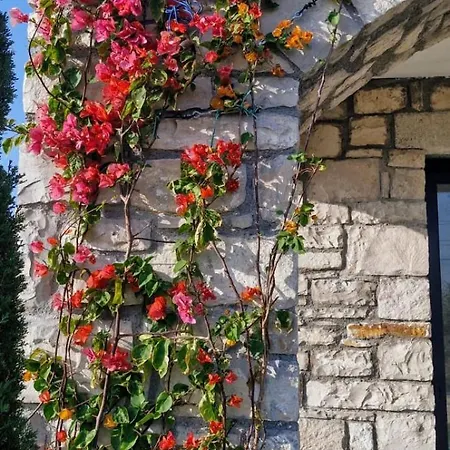Velder House Hotel Urla